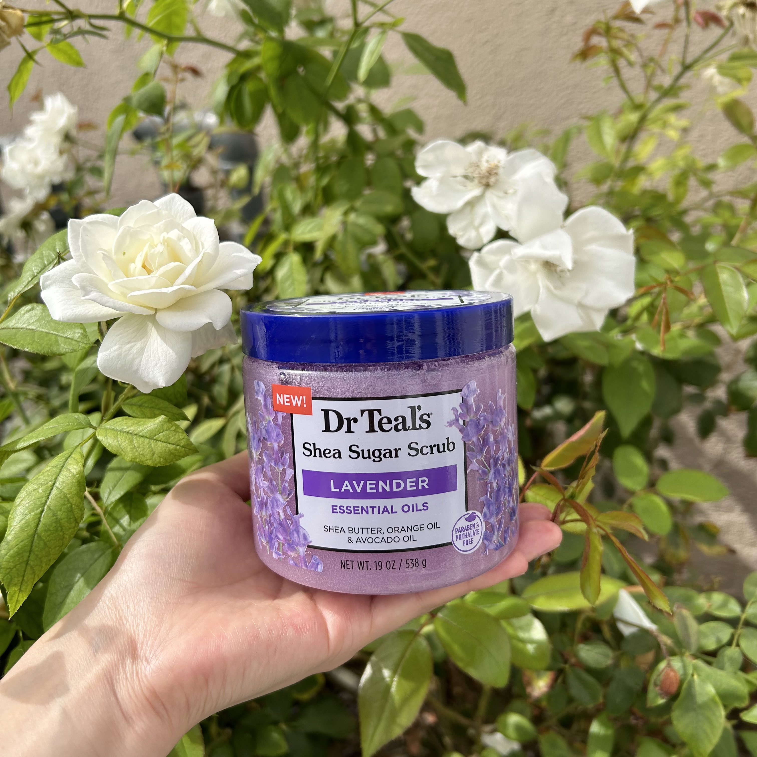 Shea Sugar Scrub LAVENDER/ティールズ/ボディスクラブを使ったクチコミ（1枚目）