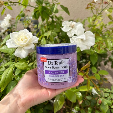 Shea Sugar Scrub LAVENDER/ティールズ/ボディスクラブを使ったクチコミ(1枚目)