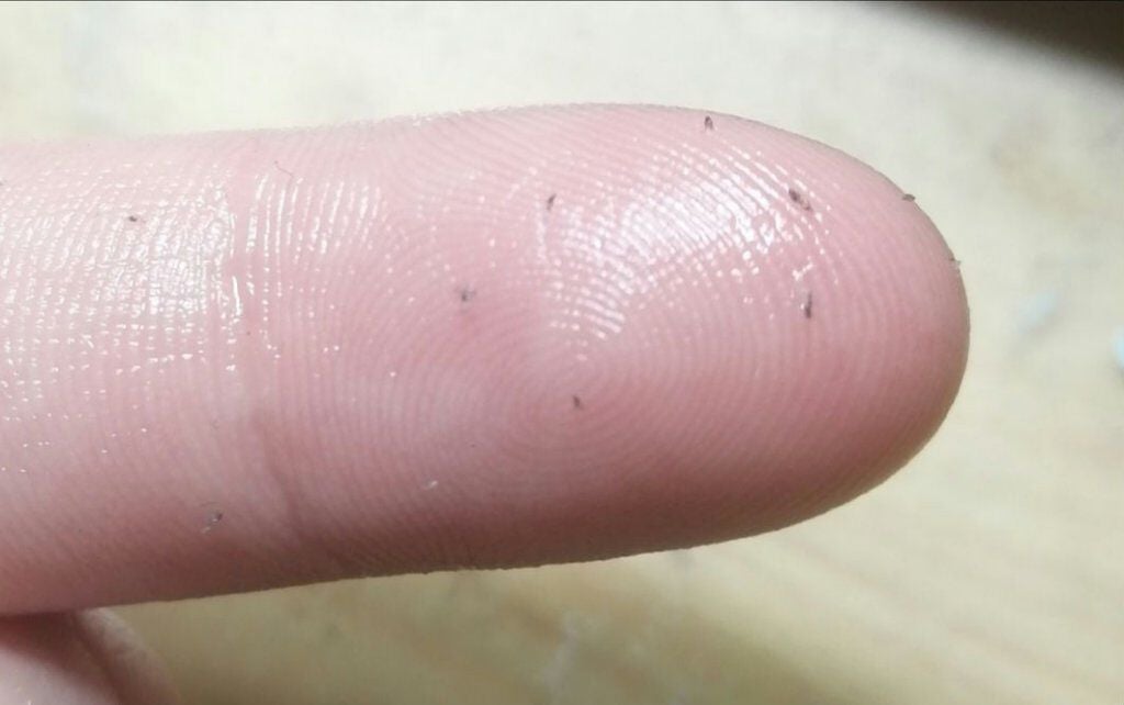 ホホバオイル/無印良品/ボディオイルを使ったクチコミ(1枚目)