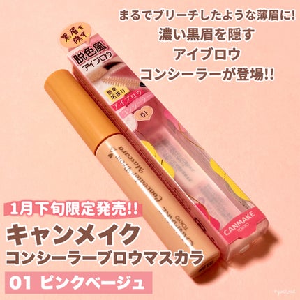 コンシーラーブロウマスカラ/キャンメイク/その他アイブロウを使ったクチコミ(2枚目)