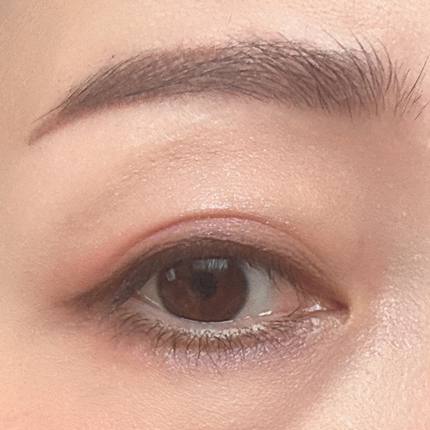 シグニチャー カラー アイズ/SUQQU/アイシャドウパレットを使ったクチコミ(4枚目)