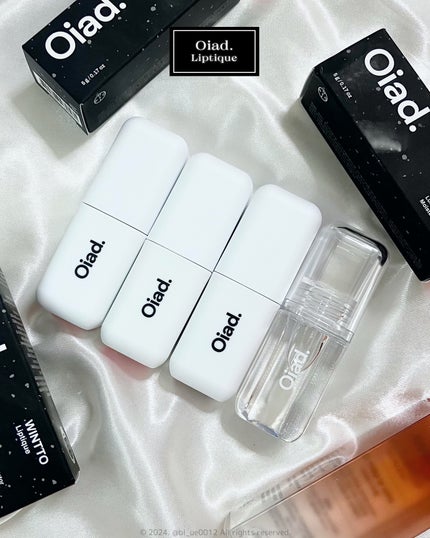 リップティーク/oiad/口紅を使ったクチコミ(2枚目)