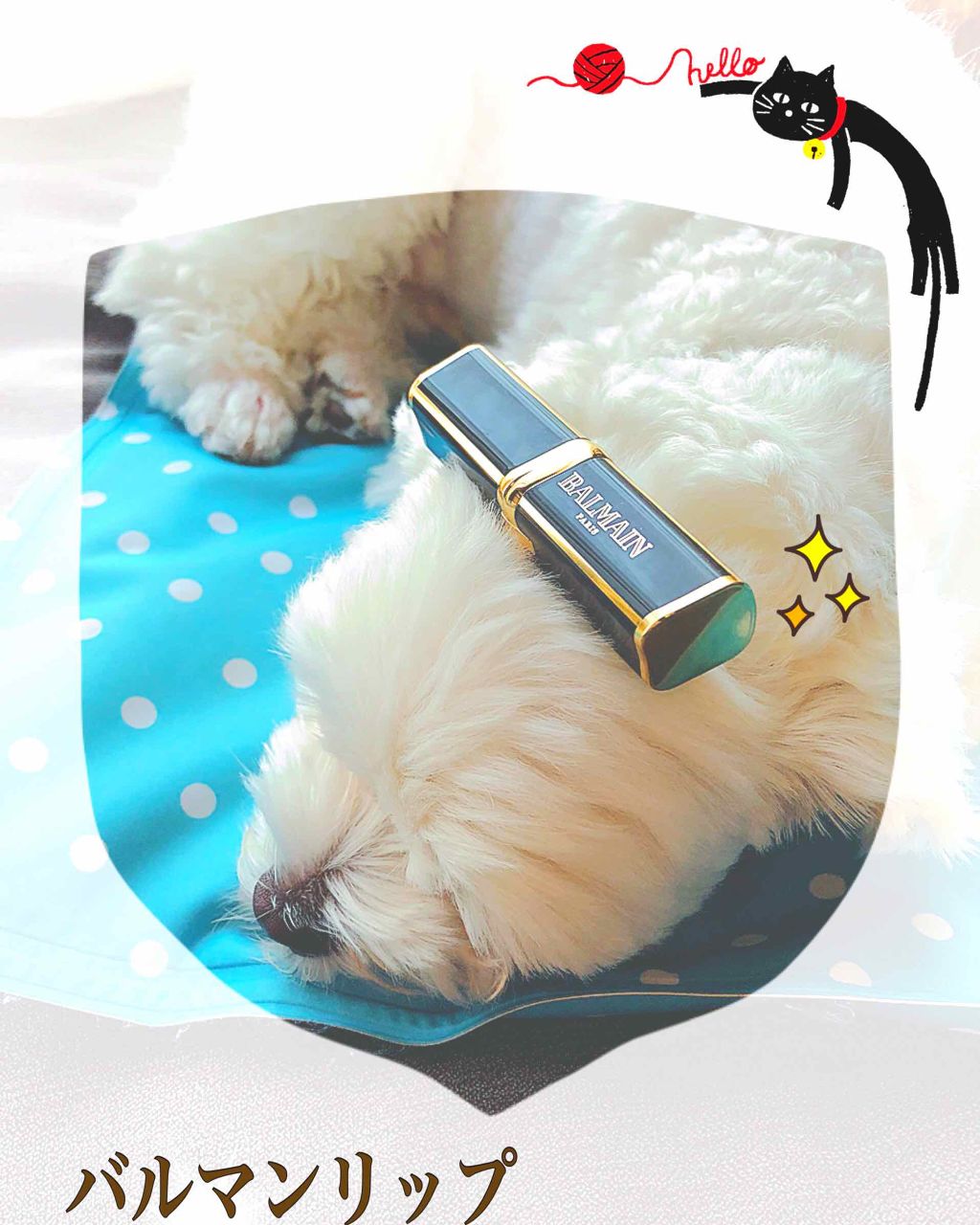 バルマンコレクション/ロレアル パリ/口紅を使ったクチコミ(1枚目)