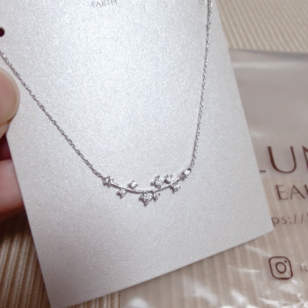 アクセサリー/LUNA earth/その他を使ったクチコミ（2枚目）