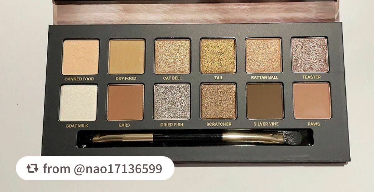 エクスプローラ12色 動物アイシャドウパレット/PERFECT DIARY/アイシャドウパレットを使ったクチコミ(2枚目)