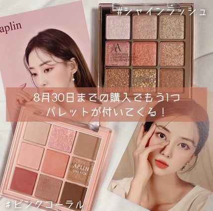 ワンピックアイシャドウパレット/APLIN/アイシャドウパレットを使ったクチコミ(1枚目)