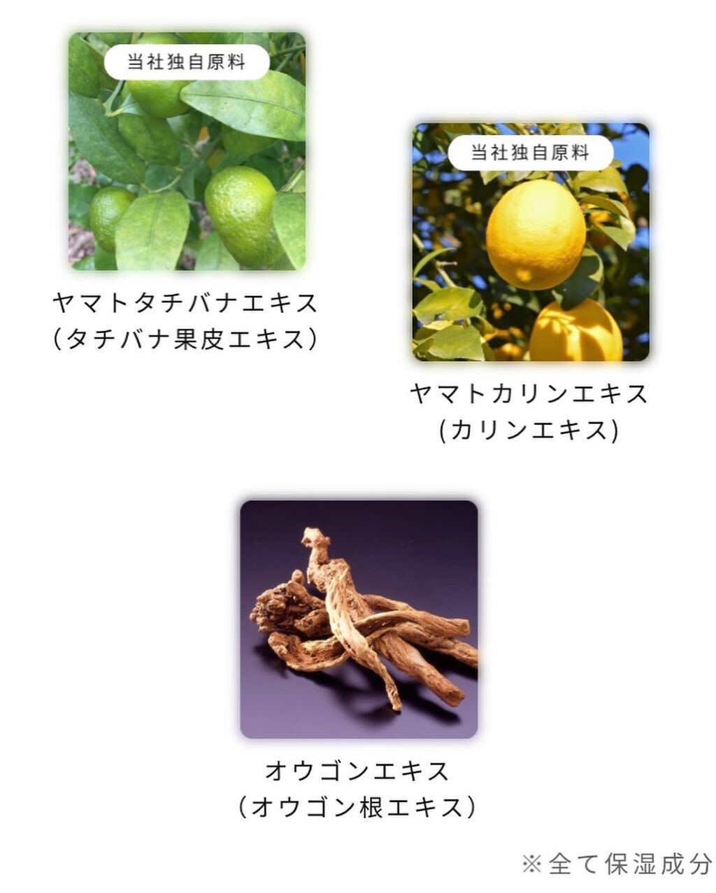 リクエス コンセントレート チャージ パッチ/クラブ/シートマスク・パックを使ったクチコミ(10枚目)