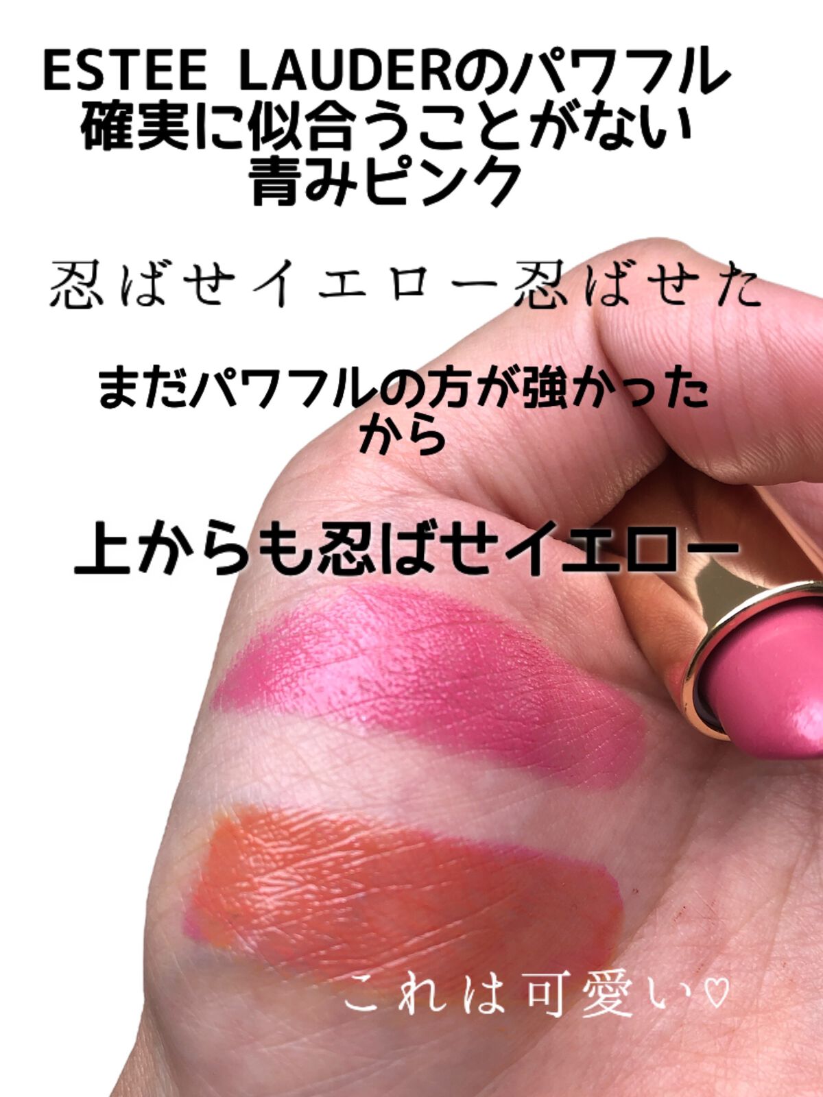 ピュア カラー エンヴィ リップスティック 220 パワフル/ESTEE LAUDER/口紅を使ったクチコミ（2枚目）