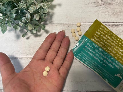 眠活ラボ /GOKUMIN/健康サプリメントを使ったクチコミ(3枚目)