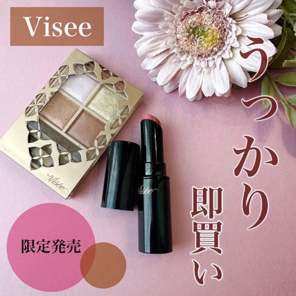 パノラマデザイン アイパレット/Visée/アイシャドウパレットを使ったクチコミ(1枚目)