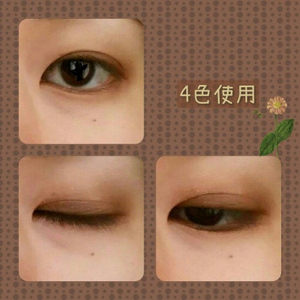 スキニーリッチシャドウ/excel/アイシャドウパレットを使ったクチコミ(2枚目)