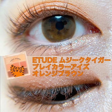 ムジークタイガープレイカラーアイズ/ETUDE/アイシャドウパレットを使ったクチコミ（1枚目）