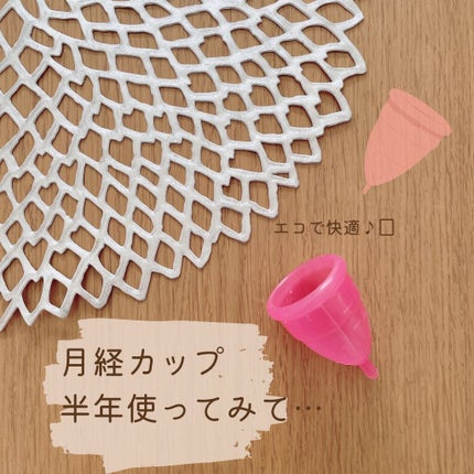 エヴァカップ/インテグロ/その他生理用品を使ったクチコミ(1枚目)