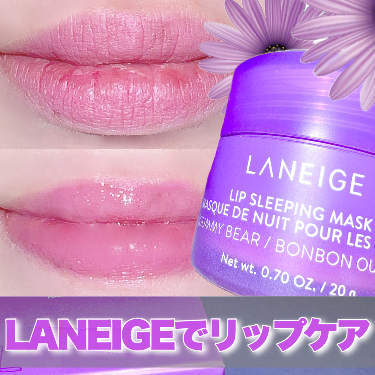 リップスリーピングマスク グミベア/LANEIGE/リップバームを使ったクチコミ（1枚目）