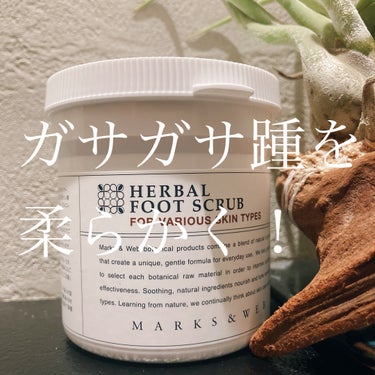 MARKS&WEB ハーバルフットスクラブのクチコミ「MARKS&WEB ハーバルフットスクラブ
香り:ティーツリー

踵が柔らかくなります🦶🏻✨
.....」（1枚目）