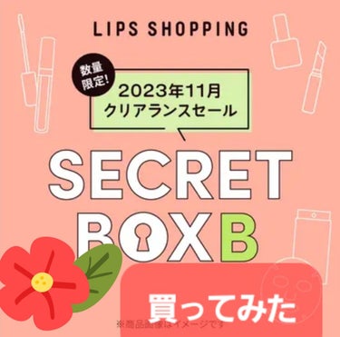 【2023年11月 クリアランスセール】シークレットボックス B/LIPS/その他キットセットを使ったクチコミ（1枚目）