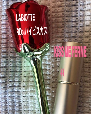 プロマンスリップカラーシャイン/LABIOTTE/口紅を使ったクチコミ（1枚目）