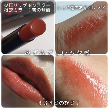 ネンマクフェイク ルージュ/Visée/口紅を使ったクチコミ(3枚目)