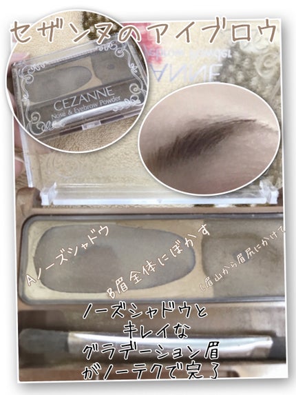 ノーズ&アイブロウパウダー/CEZANNE/パウダーアイブロウを使ったクチコミ(1枚目)