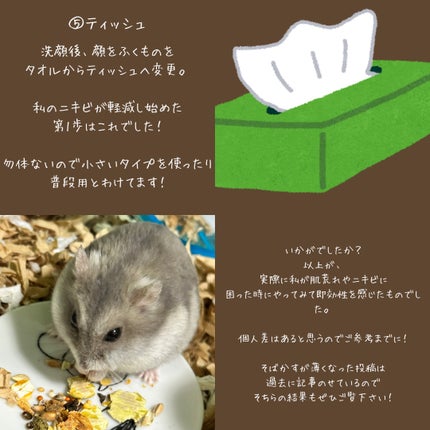 スキンピールバー ティートゥリー/サンソリット/洗顔石鹸を使ったクチコミ(4枚目)