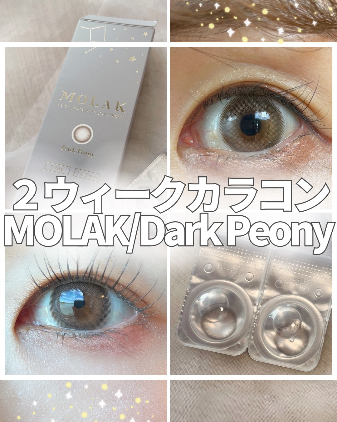 MOLAK 1day/MOLAK/ワンデー（１DAY）カラコンを使ったクチコミ（1枚目）