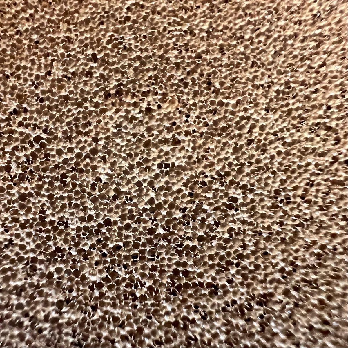 PROBIOエッセンスクッション/ネイチャーリパブリック/クッションファンデーションを使ったクチコミ(5枚目)