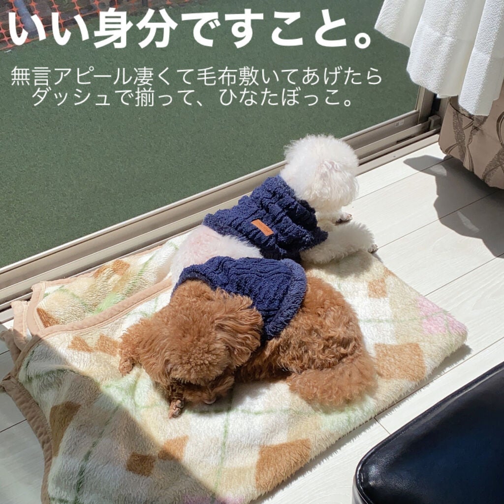 ノーセバム ミネラルパウダー/innisfree/ルースパウダーを使ったクチコミ(7枚目)