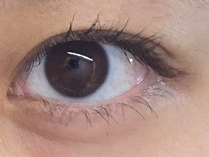 ラブ・ライナー オールラッシュマスク/ラブ・ライナー/マスカラを使ったクチコミ(10枚目)