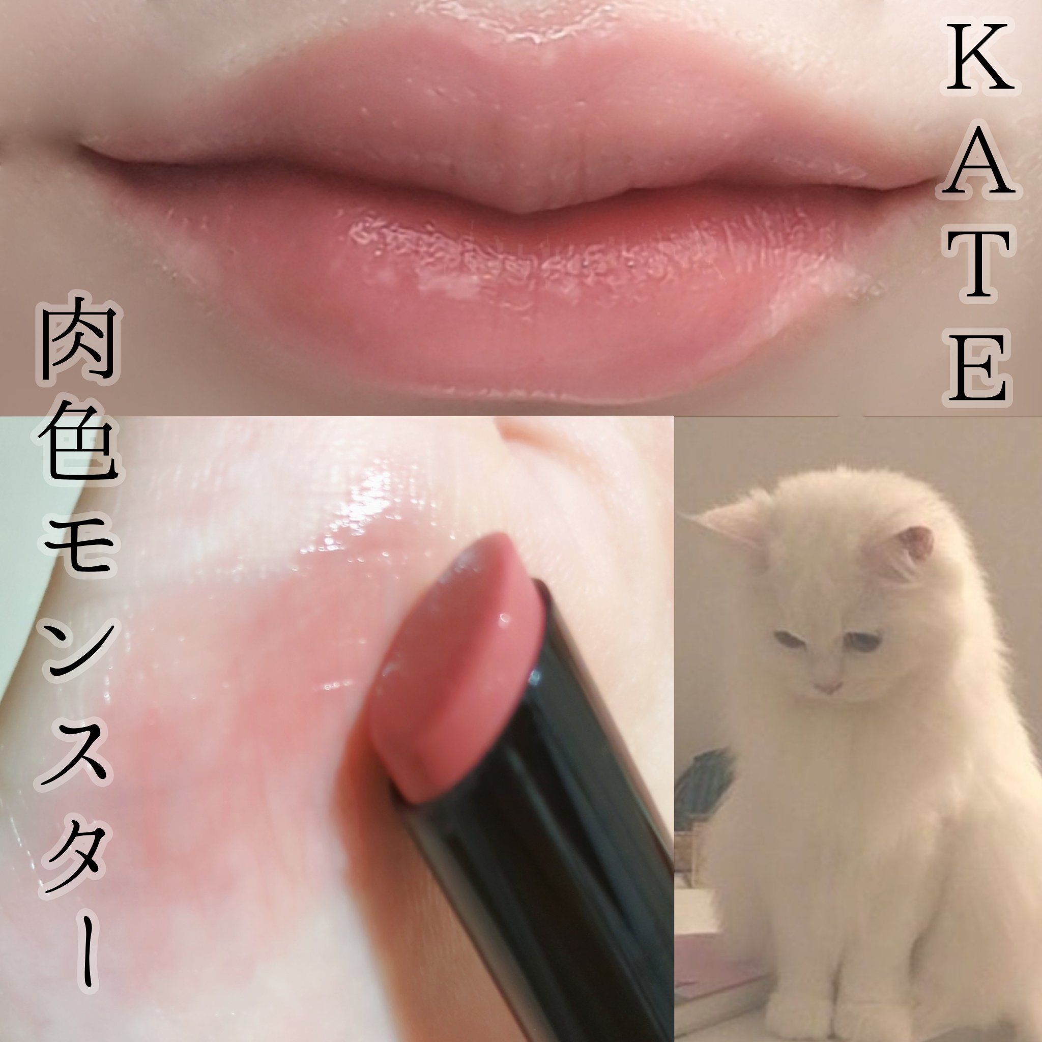 リップモンスター クリアトーン C02 肉色モンスター/KATE/口紅を使ったクチコミ（1枚目）