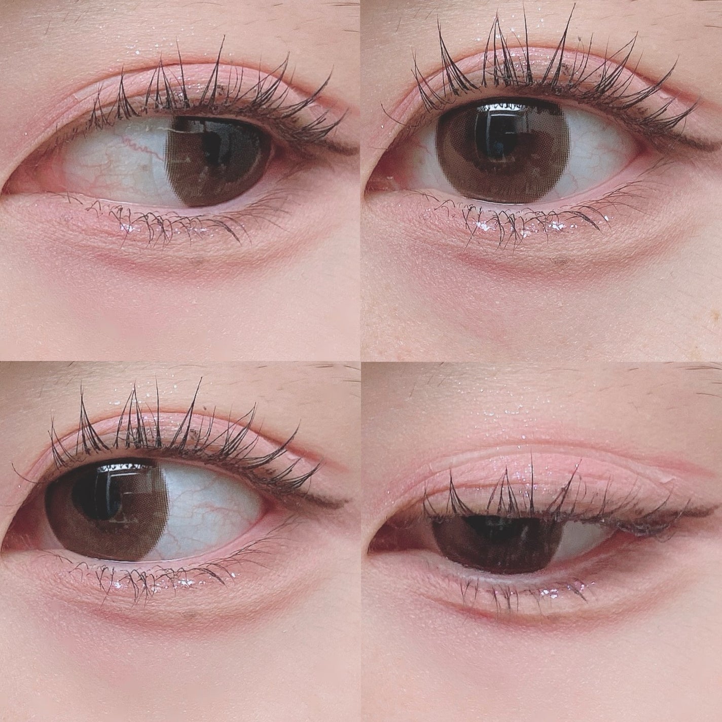 カラーミキシングコンシーラー/キャンメイク/パレットコンシーラーを使ったクチコミ(5枚目)