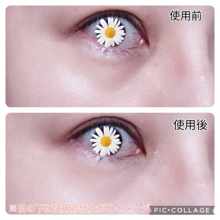 パステルヴェールコンシーラー/キャンメイク/パレットコンシーラーを使ったクチコミ(6枚目)