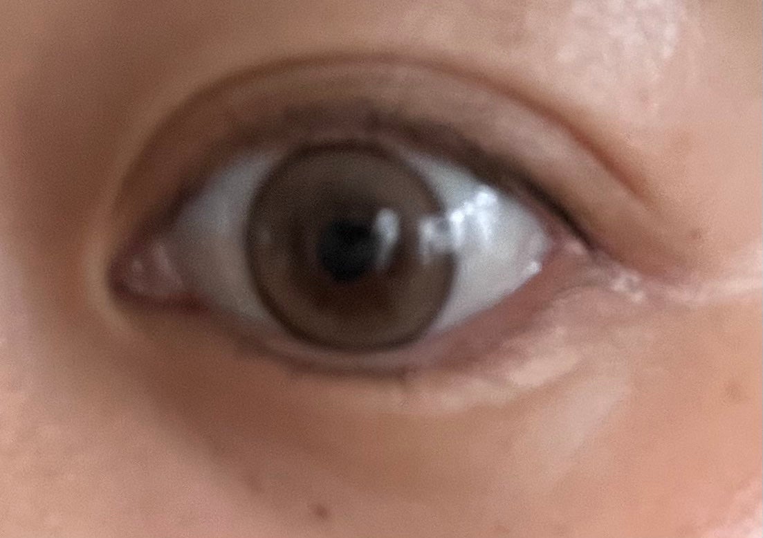 Suger High Kristin/Hapa kristin/カラーコンタクトレンズを使ったクチコミ(3枚目)