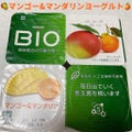 ダノンビオ マンゴー&マンダリン / DANONE