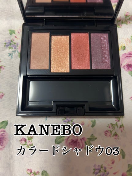 カラードシャドウ/KANEBO/アイシャドウパレットを使ったクチコミ(1枚目)