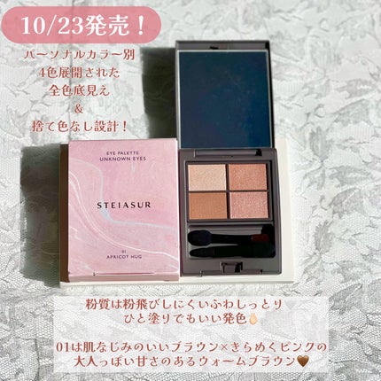 アンノウンアイズ/STEIASUR(ステイアシュール)/アイシャドウパレットを使ったクチコミ(2枚目)