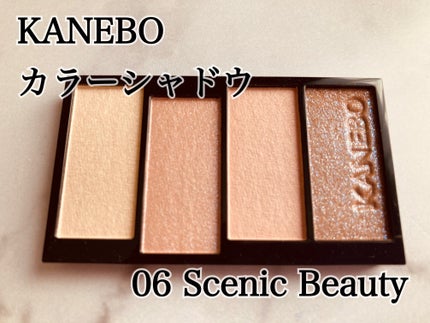 カラードシャドウ 06 Scenic Beauty / KANEBO(カネボウ) | LIPS カラードシャドウ 06 Scenic Beauty / KANEBO(カネボウ) | LIPS