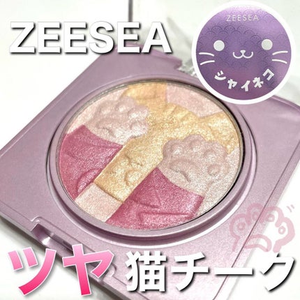 キャットハイライティングブラッシュ/ZEESEA/パウダーハイライトを使ったクチコミ(1枚目)