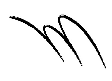 スナイプジェルライナー　N BK999