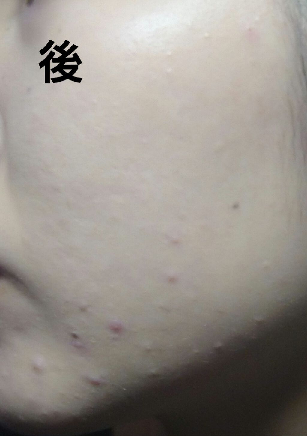 ノーセバム ミネラルパクト N/innisfree/プレストパウダーを使ったクチコミ（3枚目）