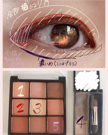 UR GLAM　BLOOMING EYE COLOR PALETTE/U R GLAM/アイシャドウパレットを使ったクチコミ（2枚目）