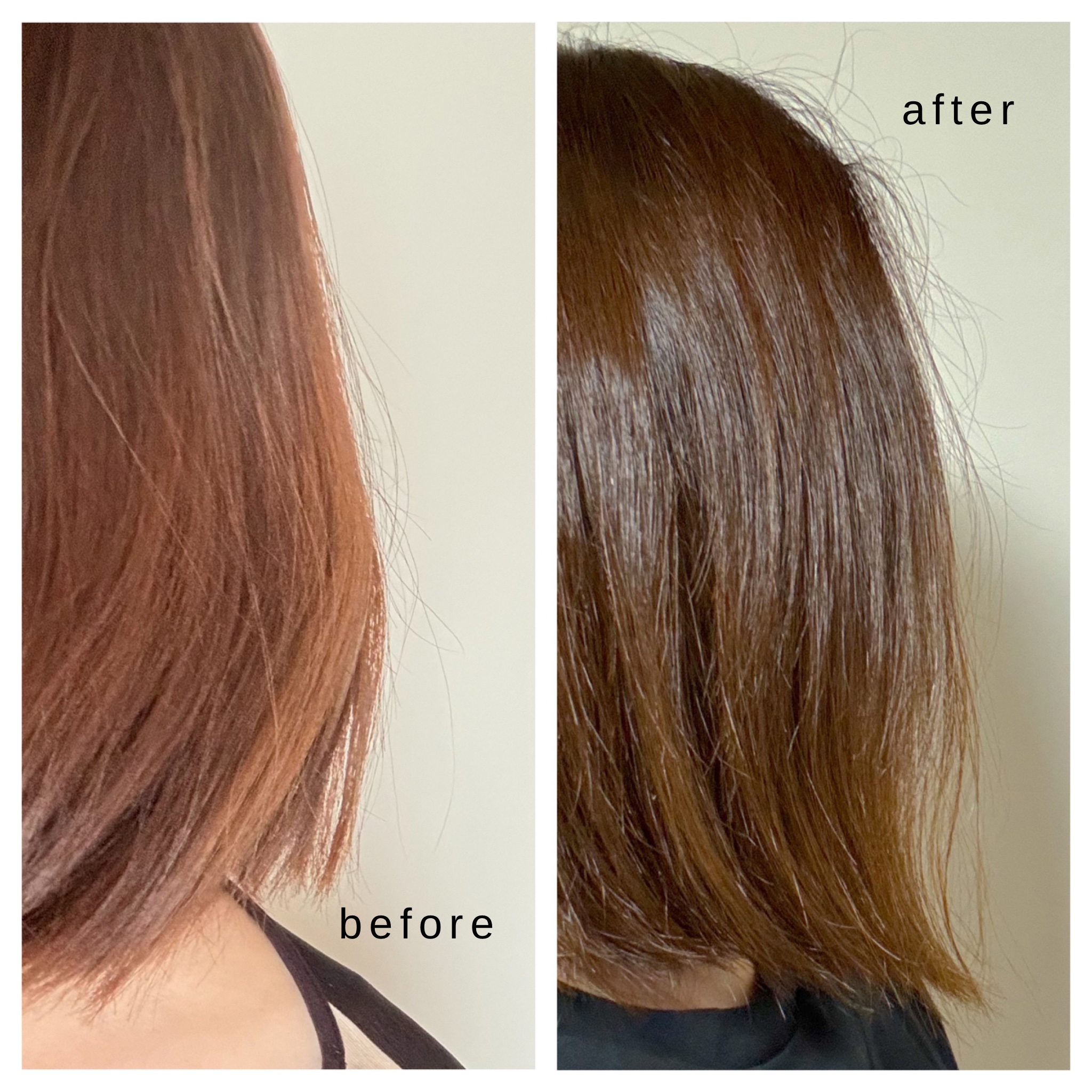 GLOSSY COAT SHAMPOO / TREATMENT/SANUS HAIR FILTER/市販シャンプーを使ったクチコミ（3枚目）