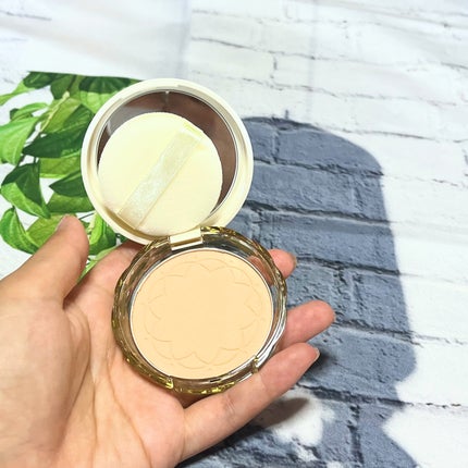 カバーパーフェクション チップコンシーラー/the SAEM/リキッドコンシーラーを使ったクチコミ(7枚目)