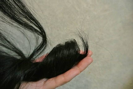 プレミアムリペア シャンプー/ヘアコンディショナー/TSUBAKI/市販シャンプーを使ったクチコミ(4枚目)