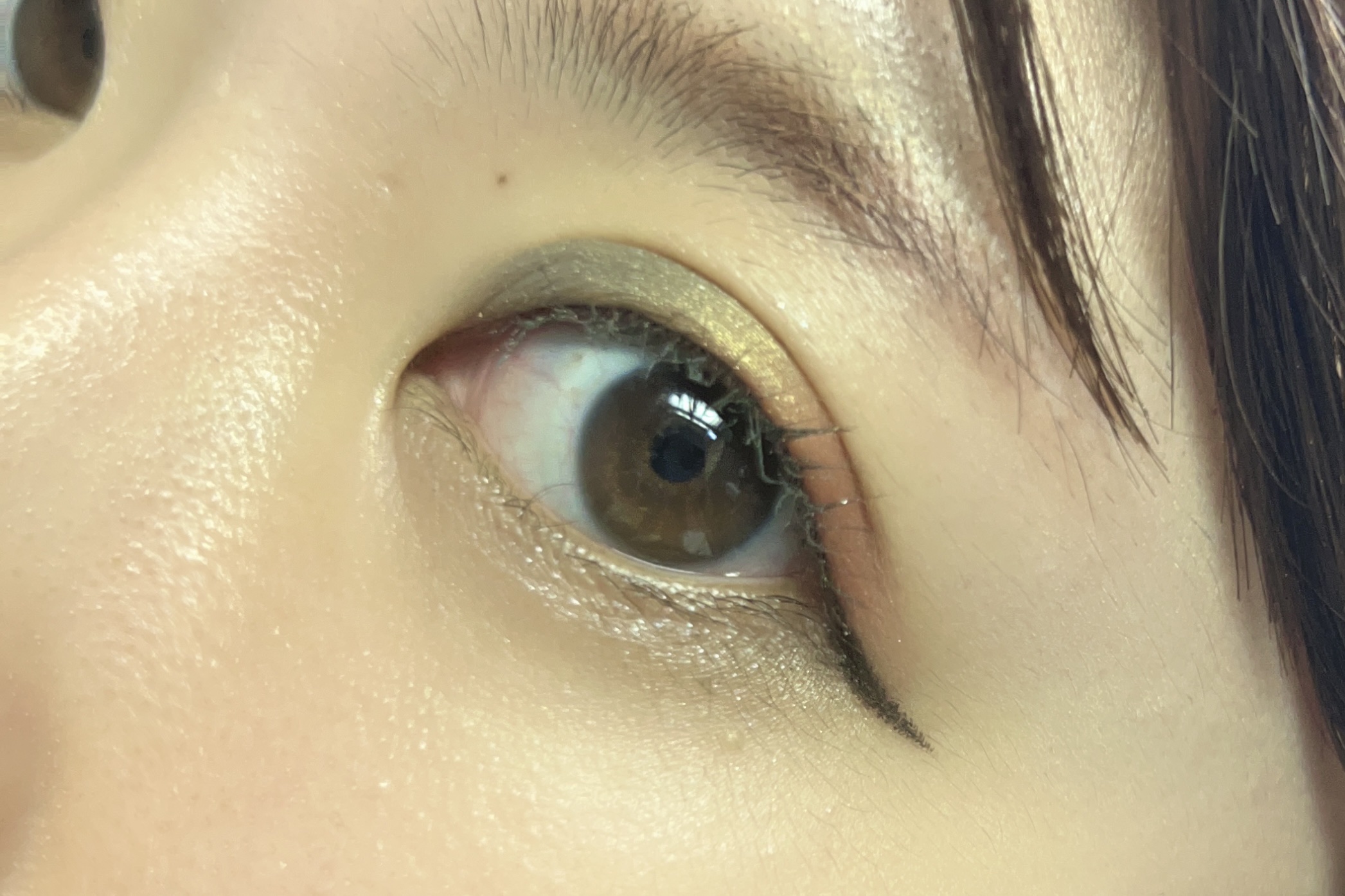 【旧】サンク クルール クチュール/Dior/アイシャドウパレットを使ったクチコミ（2枚目）