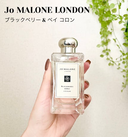 ブラックベリー & ベイ コロン / Jo MALONE LONDONの口コミ ブラックベリー & ベイ コロン / Jo MALONE LONDONの口コミ