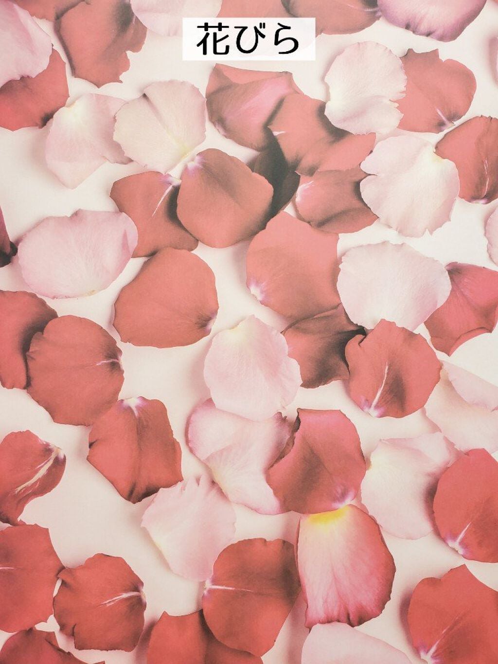 フォトジェニックシート/セリア/その他を使ったクチコミ(5枚目)