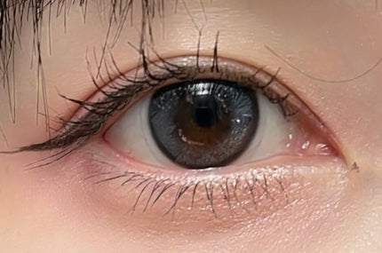 フェアリー ワンデー シマーリングシリーズ Miss Nocturne(ミスノクターン)/FAIRY/ワンデー(1DAY)カラコンの画像