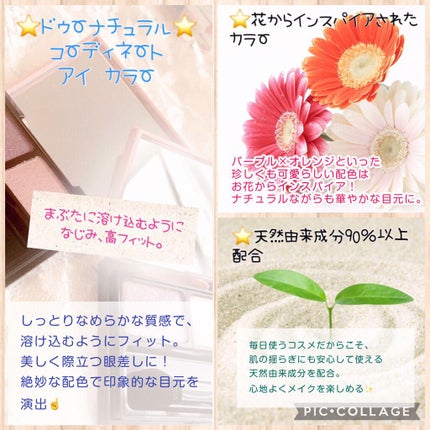 コーディネート アイ カラー/do natural/アイシャドウパレットを使ったクチコミ(2枚目)