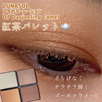 アイカラーレーション/LUNASOL/アイシャドウパレットを使ったクチコミ(1枚目)