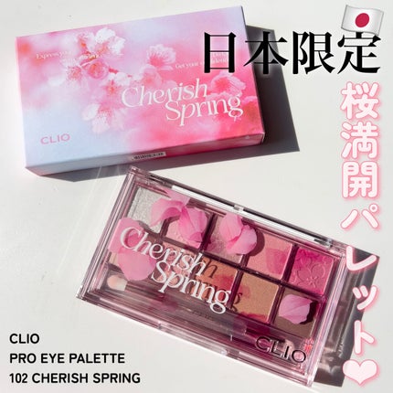 プロ アイ パレット/CLIO/アイシャドウパレットを使ったクチコミ(4枚目)